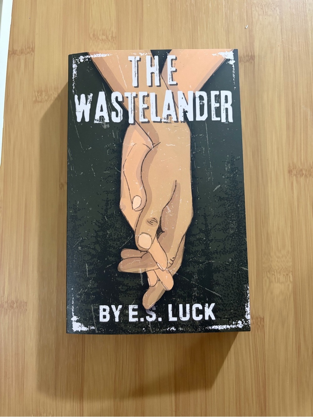 📚 3/$15 The Wastelander by E.S. Luck